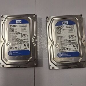 (2) WESTERN DIGITAL WD2500AAKX Caviar Blue 250GB HDD Hard Disk Drive